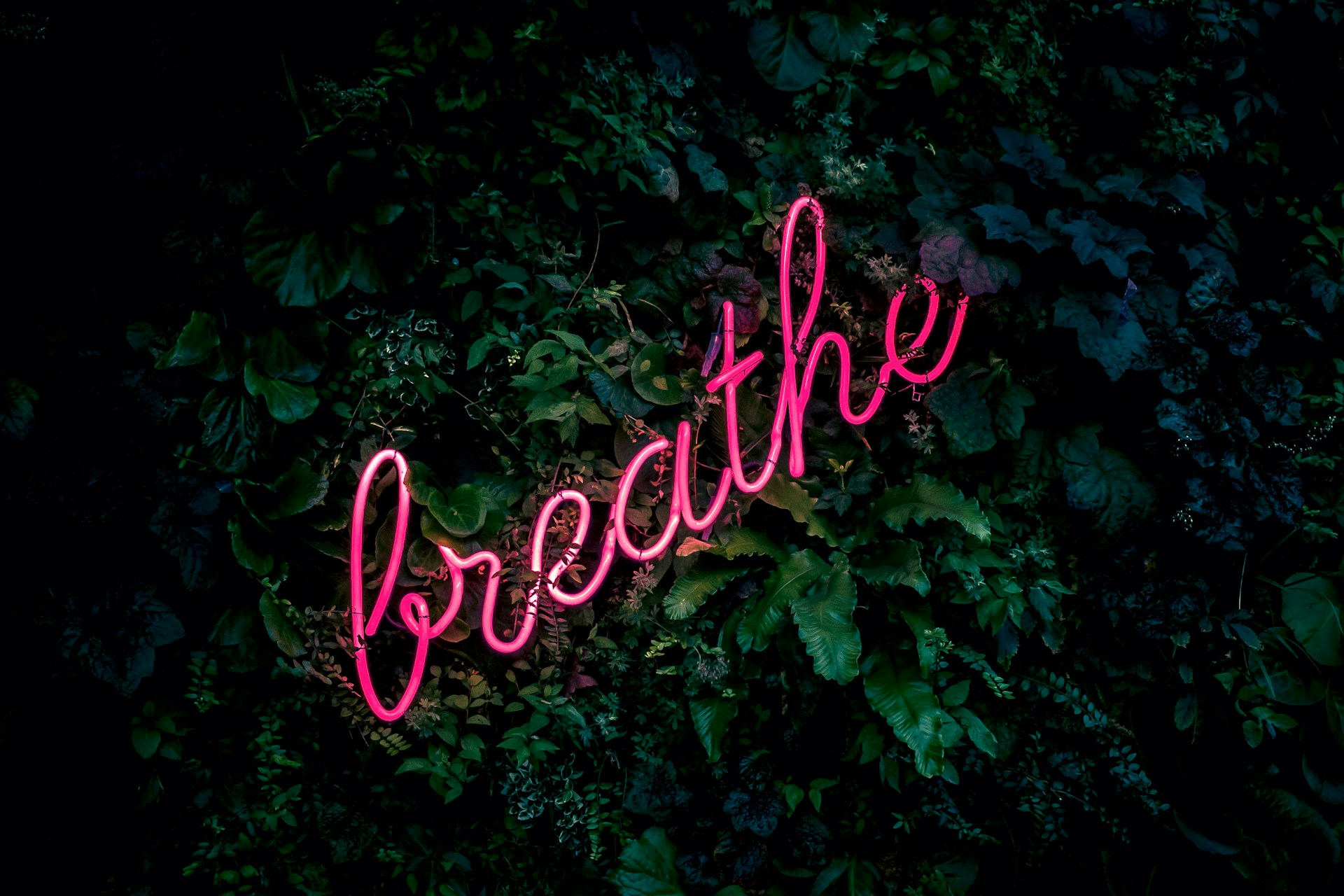 Leuchtendes Schild mit Schriftzug "Breathe"